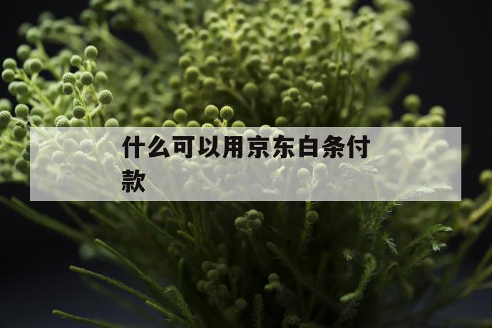 什么可以用京东白条付款 第1张 什么可以用京东白条付款 第1张