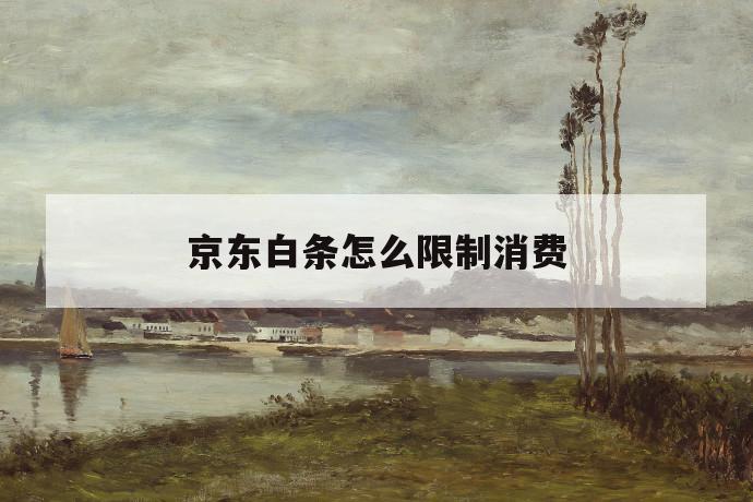 京东白条怎么限制消费 第1张 京东白条怎么限制消费 第1张