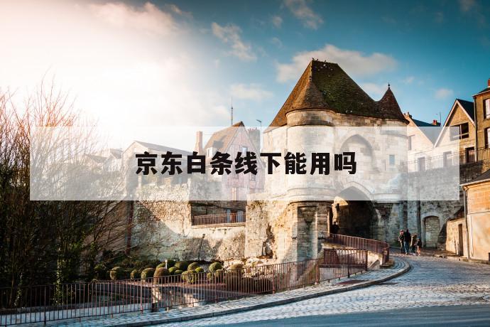 京东白条线下能用吗 第1张 京东白条线下能用吗 第1张