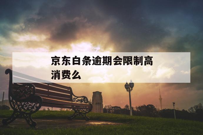 京东白条逾期会限制高消费么 第1张 京东白条逾期会限制高消费么 第1张