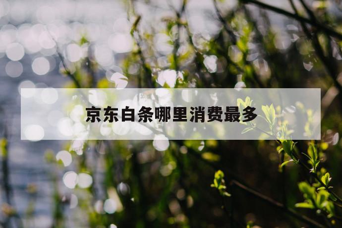 京东白条哪里消费最多 第1张 京东白条哪里消费最多 第1张