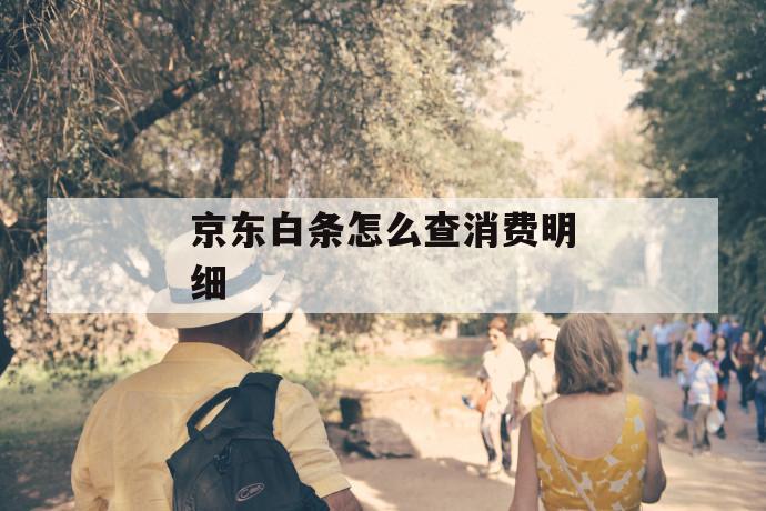 京东白条怎么查消费明细 第1张 京东白条怎么查消费明细 第1张