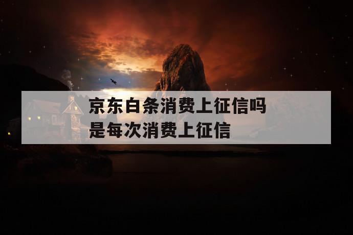 京东白条消费上征信吗是每次消费上征信 第1张 京东白条消费上征信吗是每次消费上征信 第1张