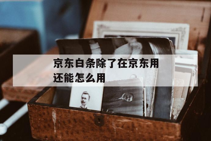 京东白条除了在京东用还能怎么用 第1张 京东白条除了在京东用还能怎么用 第1张