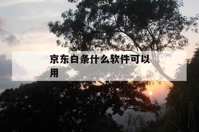 京东白条什么软件可以用 第1张 京东白条什么软件可以用 第1张