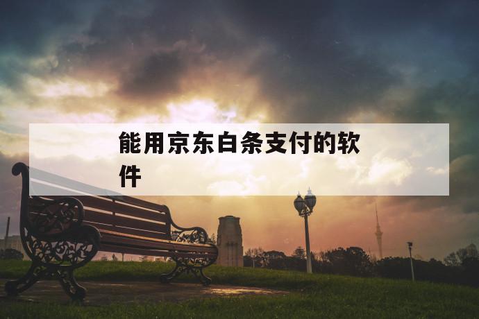 能用京东白条支付的软件 第1张 能用京东白条支付的软件 第1张