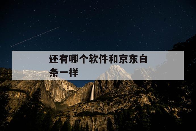 还有哪个软件和京东白条一样 第1张 还有哪个软件和京东白条一样 第1张