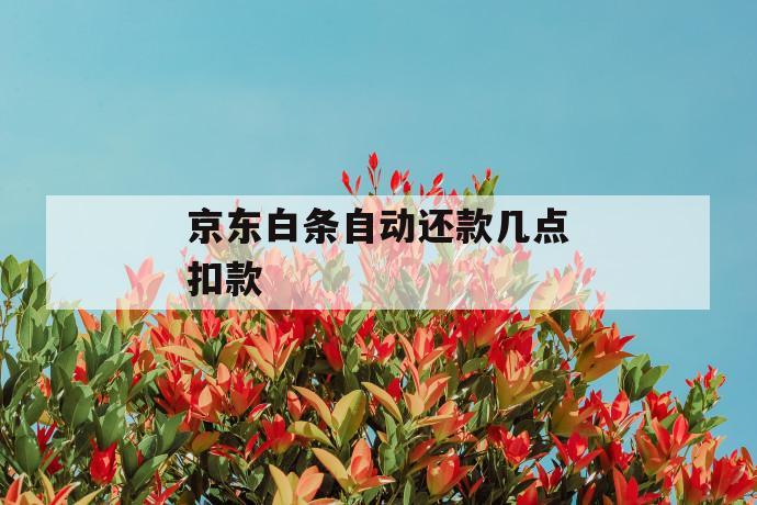 京东白条自动还款几点扣款 第1张 京东白条自动还款几点扣款 第1张