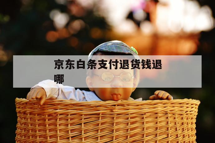 京东白条支付退货钱退哪 第1张 京东白条支付退货钱退哪 第1张