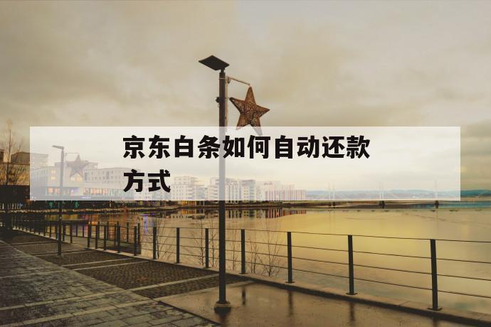 京东白条如何自动还款方式 第1张 京东白条如何自动还款方式 第1张