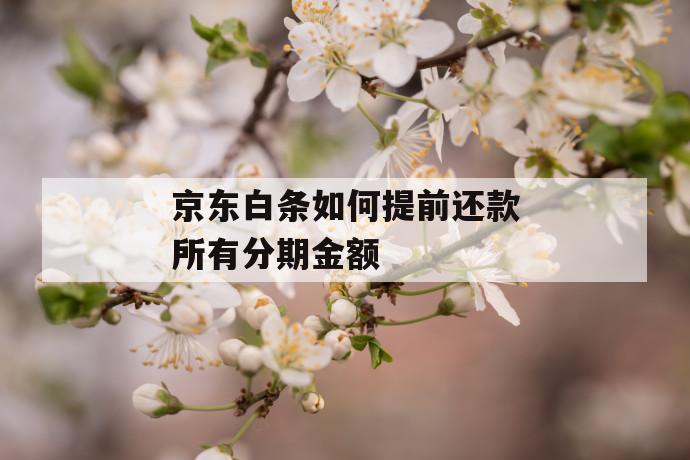 京东白条如何提前还款所有分期金额 第1张 京东白条如何提前还款所有分期金额 第1张