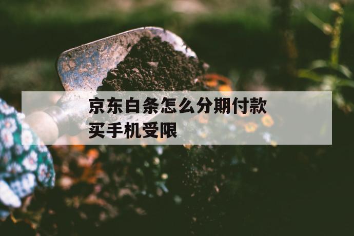 京东白条怎么分期付款买手机受限 第1张 京东白条怎么分期付款买手机受限 第1张
