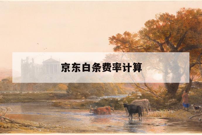京东白条费率计算 第1张 京东白条费率计算 第1张