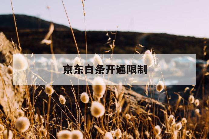 京东白条开通限制 第1张 京东白条开通限制 第1张