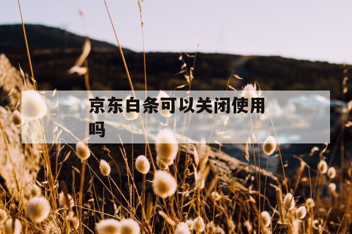 京东白条可以关闭使用吗 第1张 京东白条可以关闭使用吗 第1张
