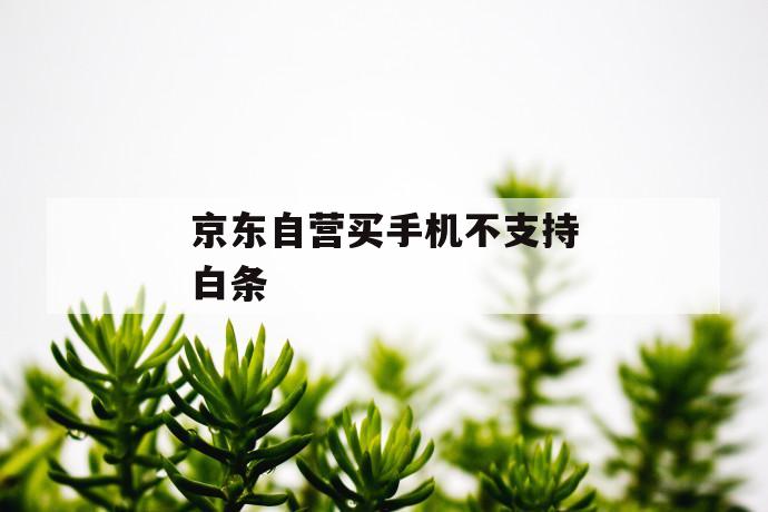 京东自营买手机不支持白条 第1张 京东自营买手机不支持白条 第1张