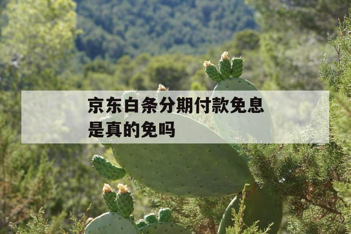 京东白条分期付款免息是真的免吗 第1张 京东白条分期付款免息是真的免吗 第1张