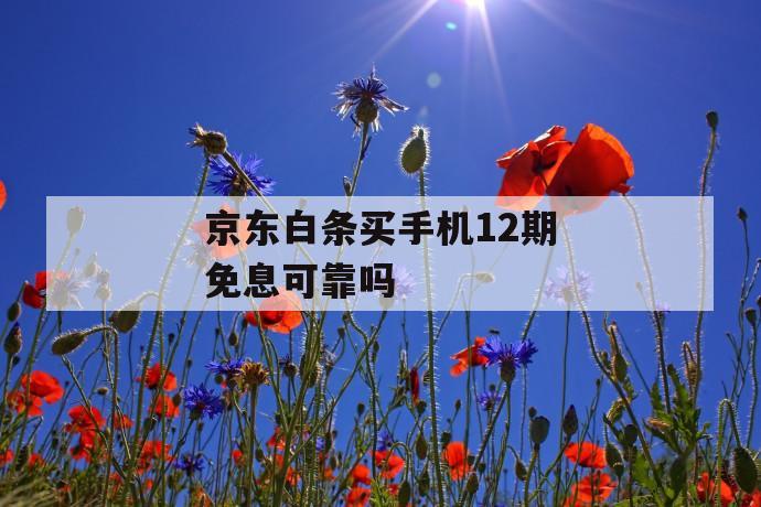 京东白条买手机12期免息可靠吗 第1张 京东白条买手机12期免息可靠吗 第1张