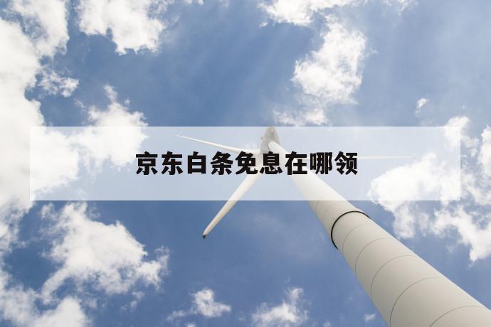 京东白条免息在哪领 第1张 京东白条免息在哪领 第1张