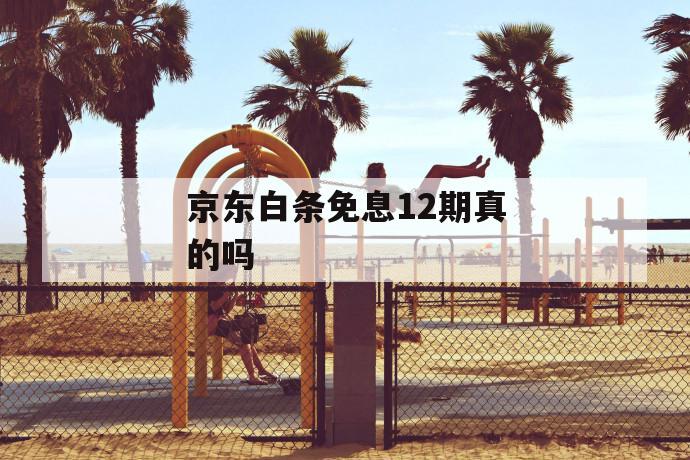 京东白条免息12期真的吗 第1张 京东白条免息12期真的吗 第1张