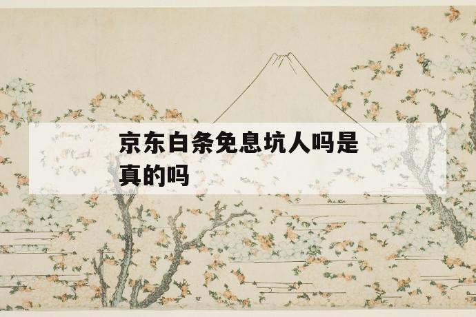 京东白条免息坑人吗是真的吗 第1张 京东白条免息坑人吗是真的吗 第1张
