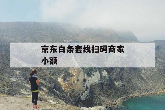 京东白条套线扫码商家小额 第1张 京东白条套线扫码商家小额 第1张