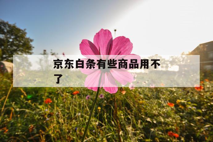 京东白条有些商品用不了 第1张 京东白条有些商品用不了 第1张