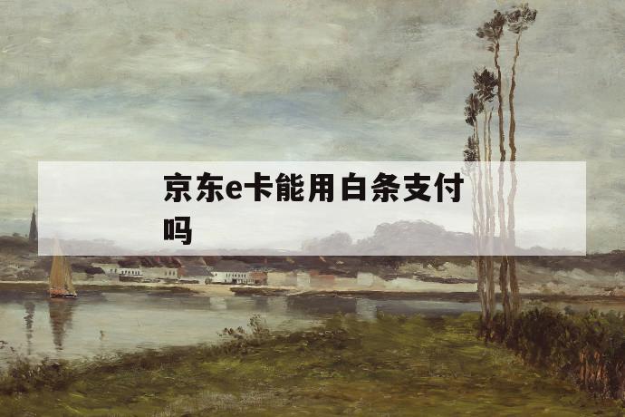 京东e卡能用白条支付吗 第1张 京东e卡能用白条支付吗 第1张