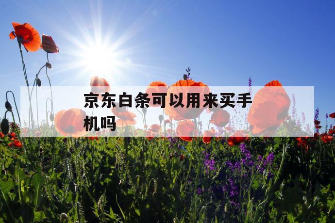 京东白条可以用来买手机吗 第1张 京东白条可以用来买手机吗 第1张