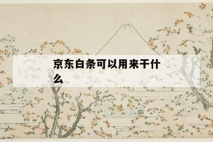 京东白条可以用来干什么 第1张 京东白条可以用来干什么 第1张