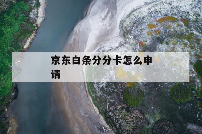 京东白条分分卡怎么申请 第1张 京东白条分分卡怎么申请 第1张