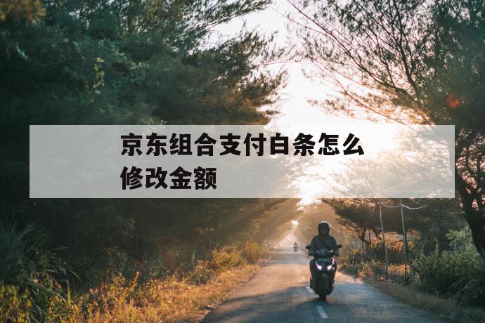 京东组合支付白条怎么修改金额 第1张 京东组合支付白条怎么修改金额 第1张