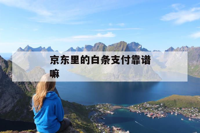 京东里的白条支付靠谱嘛 第1张 京东里的白条支付靠谱嘛 第1张