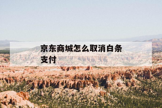 京东商城怎么取消白条支付 第1张 京东商城怎么取消白条支付 第1张