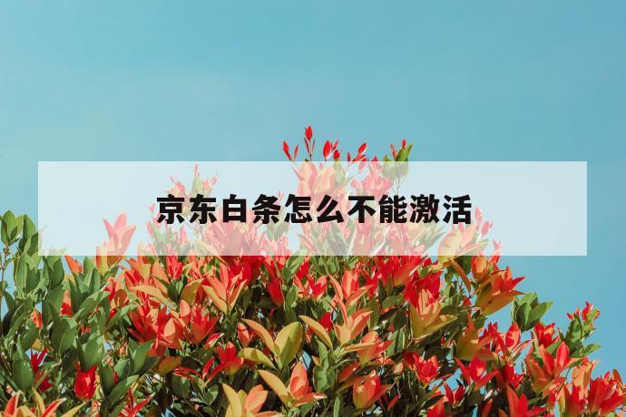 京东白条怎么不能激活 第1张 京东白条怎么不能激活 第1张