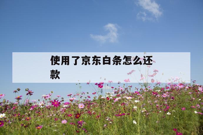 使用了京东白条怎么还款 第1张 使用了京东白条怎么还款 第1张