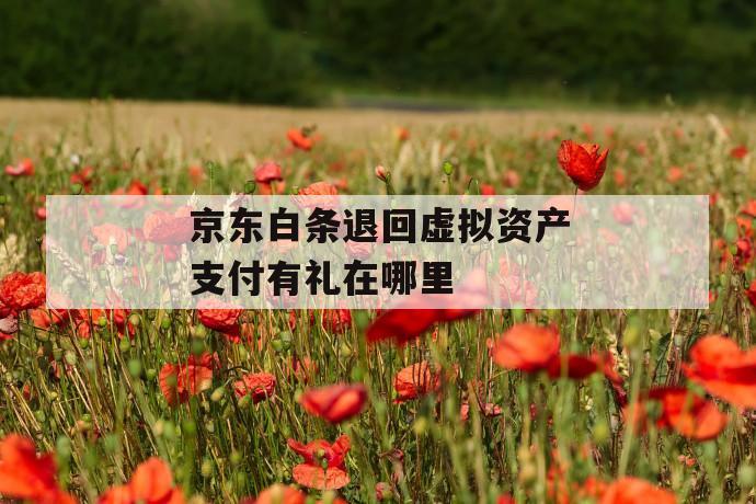 京东白条退回虚拟资产支付有礼在哪里 第1张 京东白条退回虚拟资产支付有礼在哪里 第1张