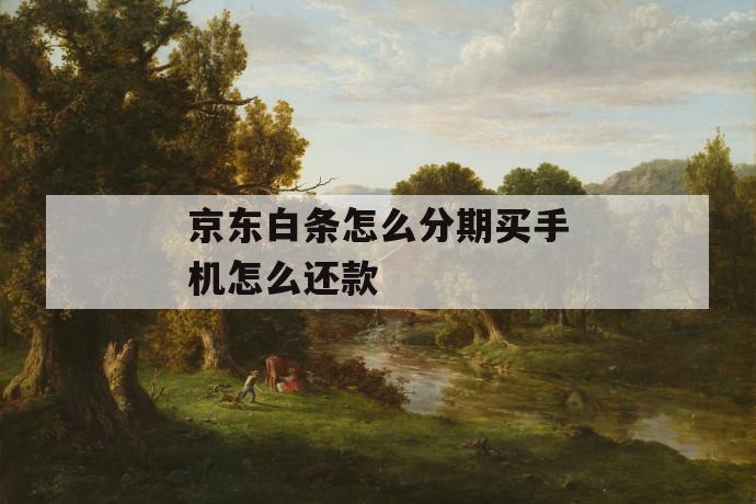 京东白条怎么分期买手机怎么还款 第1张 京东白条怎么分期买手机怎么还款 第1张