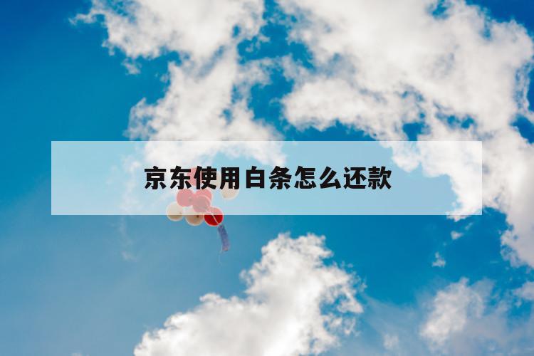 京东使用白条怎么还款 第1张 京东使用白条怎么还款 第1张