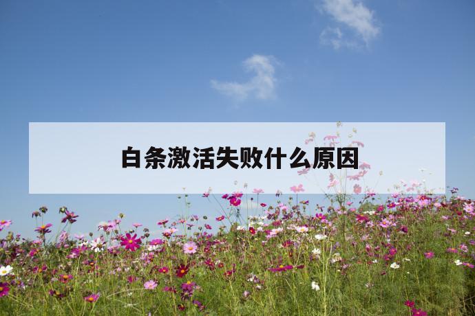白条激活失败什么原因 第1张 白条激活失败什么原因 第1张