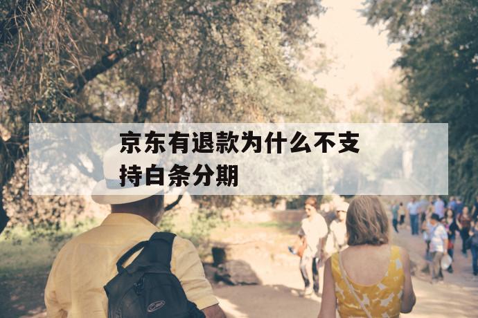 京东有退款为什么不支持白条分期 第1张 京东有退款为什么不支持白条分期 第1张