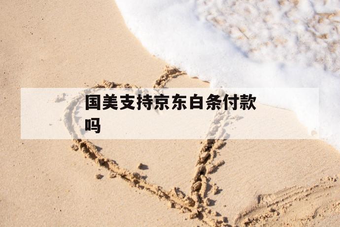 国美支持京东白条付款吗 第1张 国美支持京东白条付款吗 第1张