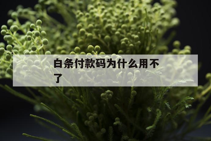 白条付款码为什么用不了 第1张 白条付款码为什么用不了 第1张