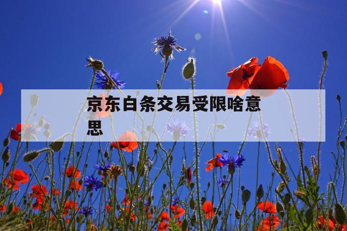 京东白条交易受限啥意思 第1张 京东白条交易受限啥意思 第1张