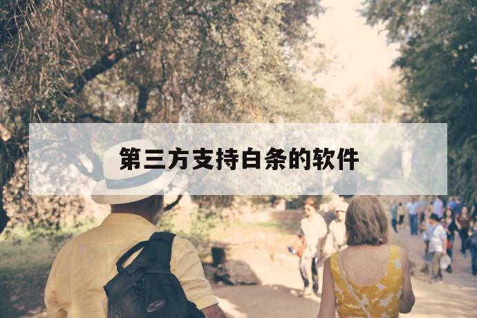 第三方支持白条的软件 第1张 第三方支持白条的软件 第1张