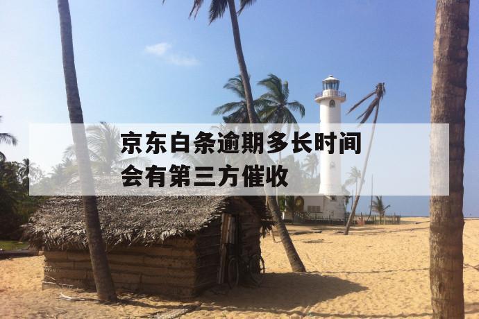 京东白条逾期多长时间会有第三方催收 第1张 京东白条逾期多长时间会有第三方催收 第1张