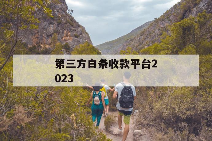 第三方白条收款平台2023 第1张 第三方白条收款平台2023 第1张