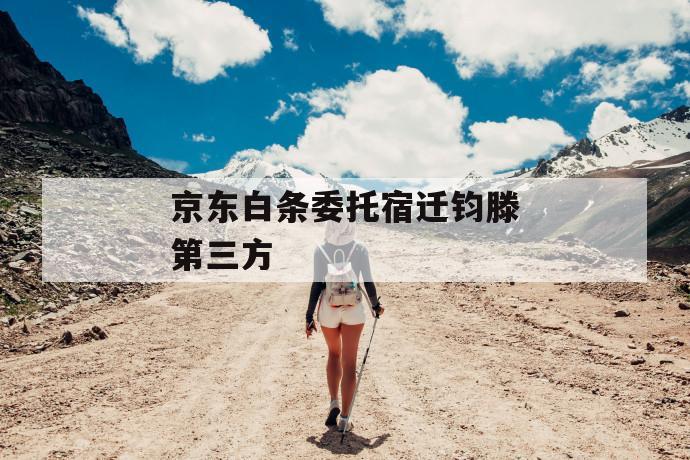 京东白条委托宿迁钧滕第三方 第1张 京东白条委托宿迁钧滕第三方 第1张