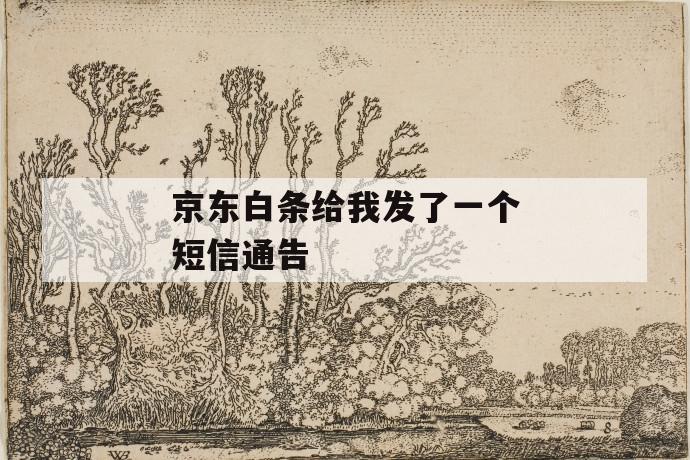 京东白条给我发了一个短信通告 第1张 京东白条给我发了一个短信通告 第1张