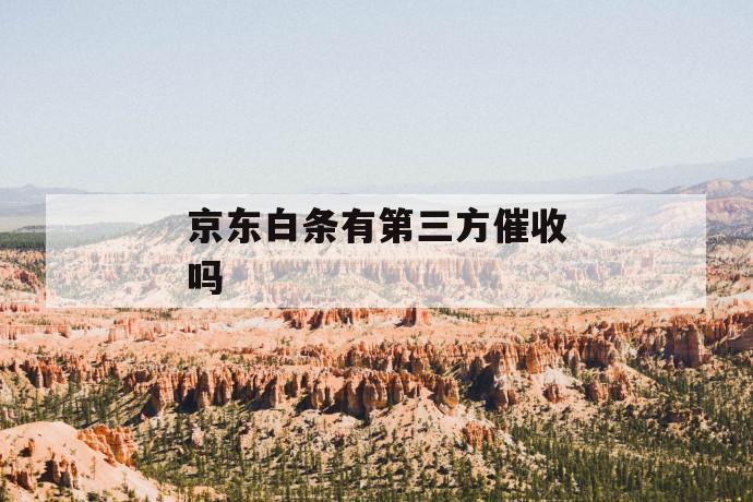 京东白条有第三方催收吗 第1张 京东白条有第三方催收吗 第1张